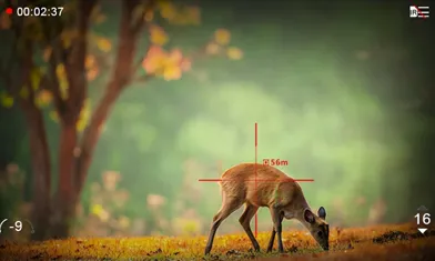 Understanding The Subtle Relationship Between Thermal Imagers And Night Vision Devices